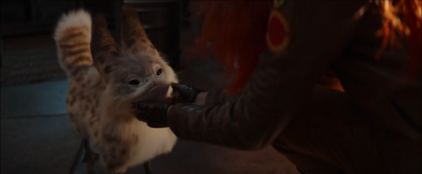 Loth-cat getting pets from Sabine.