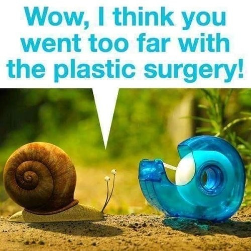 A picture of a snail facing a sellotape dispenser with the text wow I think you went too far with the plastic surgery?