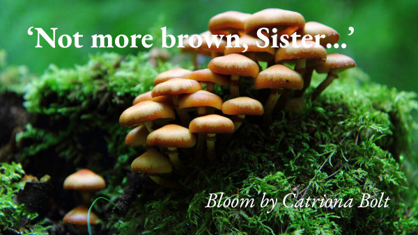 Mushrooms poking up through moss, with a quote from Catriona Bolt's short story Bloom: 'Not more brown, Sister…'