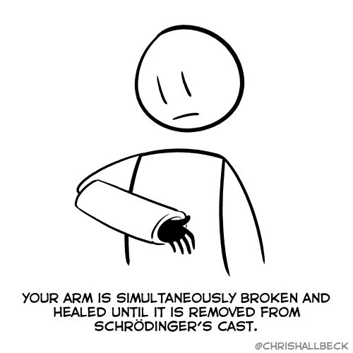 YOUR ARM IS SIMULTANEOUSLY BROKEN AND HEALED UNTIL IT IS REMOVED FROM
SCHRÖDINGER'S CAST.