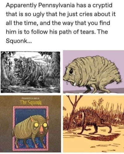 "Apparently Pennsylvania has a cryptid that is so ugly that he just cries about it all the time, and the way that you find him is to follow his path of tears. The Squonk..."
Then there are 4 pictures of artist's representations of The Squonk
