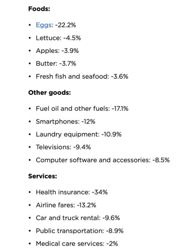 Foods:

¢ Eggs: -22.2%

e Lettuce: -4.5%

¢ Apples: -3.9%

* Butter: -3.7%

¢ Fresh fish and seafood: -3.6% Other goods:

* Fuel oil and other fuels: -17.1% * Smartphones: -12%

¢ Laundry equipment: -10.9%

¢ Televisions: -9.4%

* Computer software and accessories: -8.5% Services:

¢ Health insurance: -34%

« Airline fares: -13.2%

¢ Car and truck rental: -9.6%

¢ Public transportation: -8.9%

¢ Medical care services: -2% 