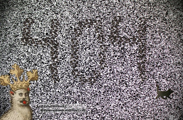 The picture shows the static noise of a TV. If you look closely, you can see the number "404" (error code for "page/file not found) formed from cat paw prints. A small black cat is tiptoeing away from it.
