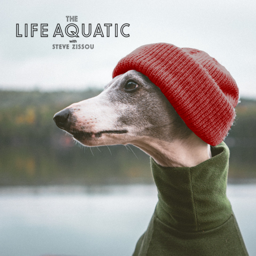 A whippet dog in a red toque and a green turtleneck with the text "The Life Aquatic with Steve Zissou" superimposed over the top.