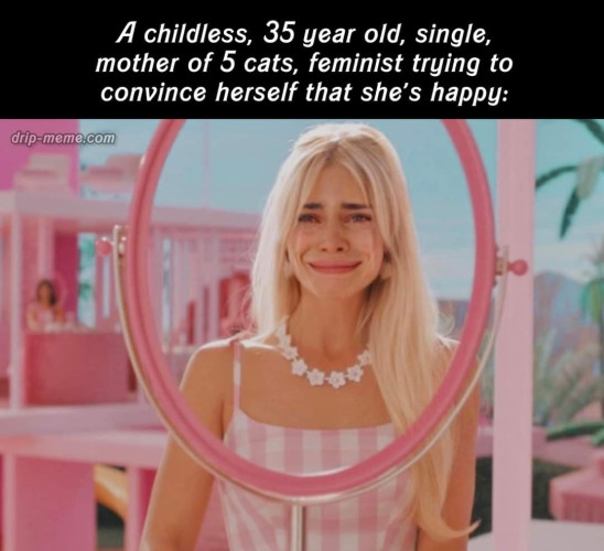 Picture of Margo Robbie as Barbie smiling while crying that is captioned "A childless, 35 year old, single, mother of 6 cats, feminist, trying to convince herself that she's happy"