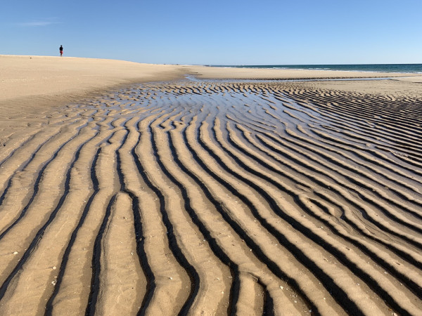 Ondulations dans le sable à marée basse