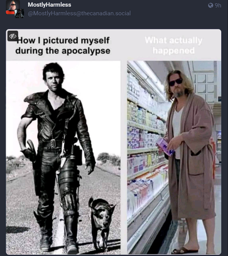 How I pictured myself during the apocalypse with picture of Mel Gibson as Mad Max.
What actually happened with picture of Jeff Bridges as The Big Lebowski