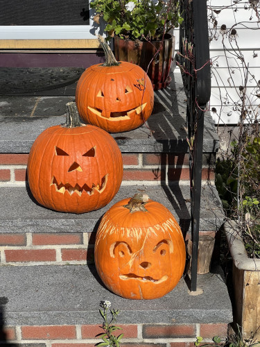 Image of three Jack O Lantern 🎃 sitting on brick stairs, the top one is named “Lewis”
The middle one is a standard traditional pumpkin
The bottom one is a fancily scraped one with texturing done on sides.