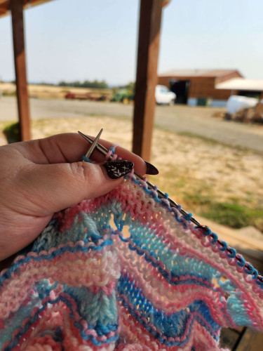 My hand with long painted nails holding a pair of knitting needles. On the needles is a blanket in trans pride flag yarn.

In the background is a bright and sunny view of the farm: a barn, tractor and wide open fields.